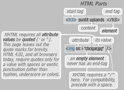 About Html Tags