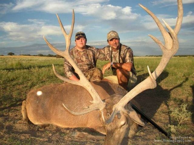 Argentina Red Stag Hunting