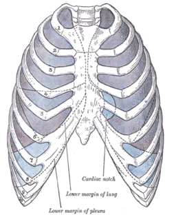 Costal Diaphragmatic Recess