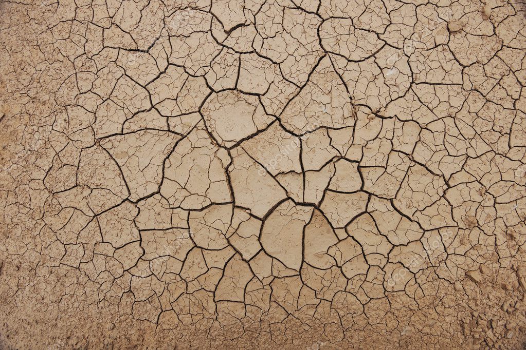 Cracked Earth Desert
