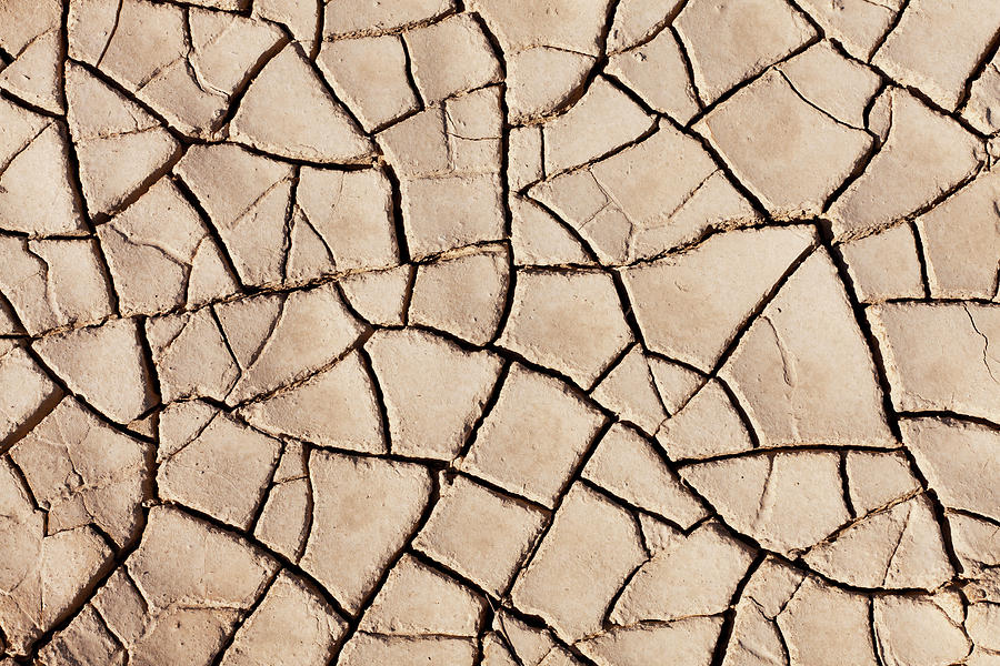 Cracked Earth Desert