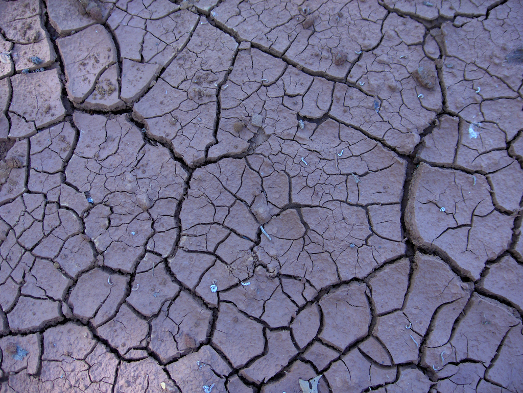 Cracked Earth Image