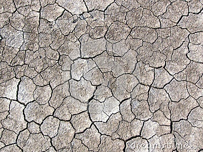 Cracked Earth Pattern