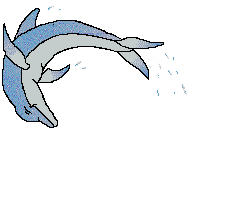 Delfines Animados
