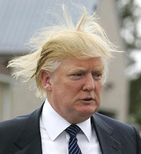Donald Trump Hair Diagram