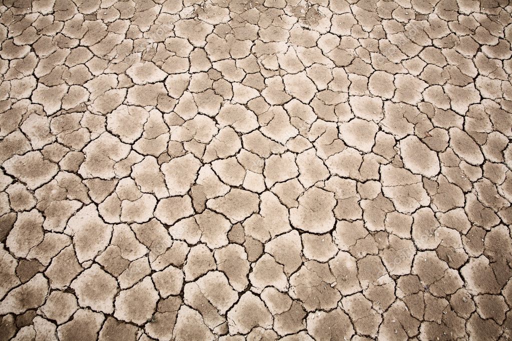 Dry Cracked Earth Texture