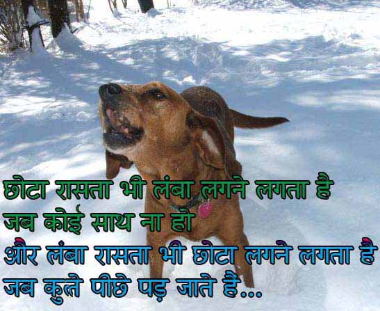 Funny Picture Quotes In Hindi