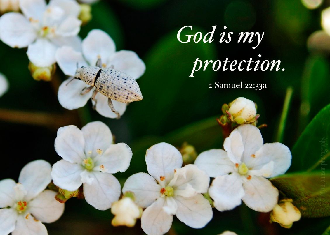 God My Protector