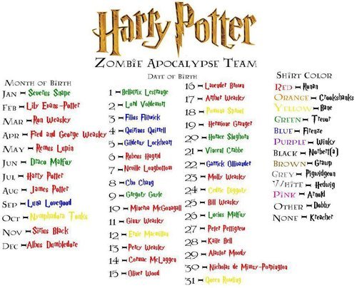 Harry Potter Zombie Apocalypse Team