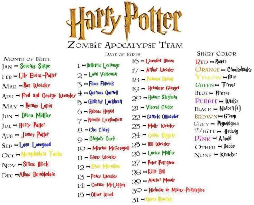 Harry Potter Zombie Apocalypse Team