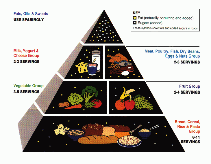 Healthy Food Diagram