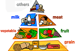Healthy Food Diagram