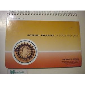 Internal Parasites In Dogs And Cats