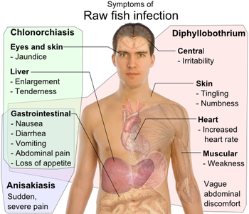 Internal Parasites In Fish Symptoms