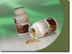 Intestinal Parasites In Humans Cures