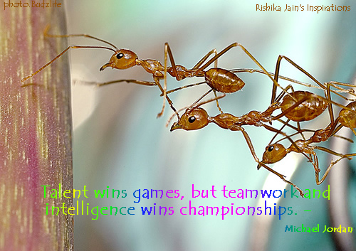 Motivational Teamwork Quotes For Work