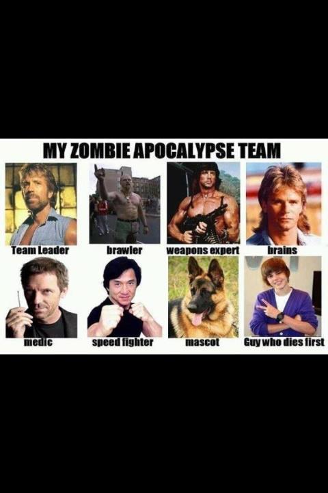 My Zombie Apocalypse Team Meme