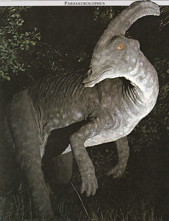 Parasaurolophus Dinosaur Habitat
