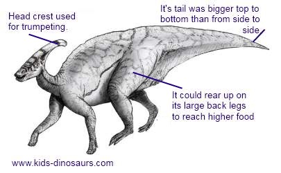 Parasaurolophus Dinosaur Habitat