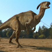Parasaurolophus Jurassic Park