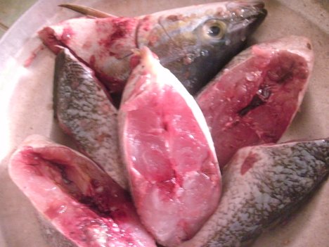 Parasites In Fish Meat