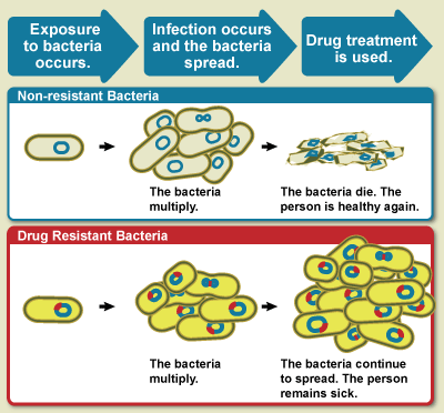 Parasites In Humans Treatment Antibiotics