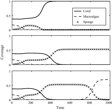 Parasitism Examples In The Coral Reef