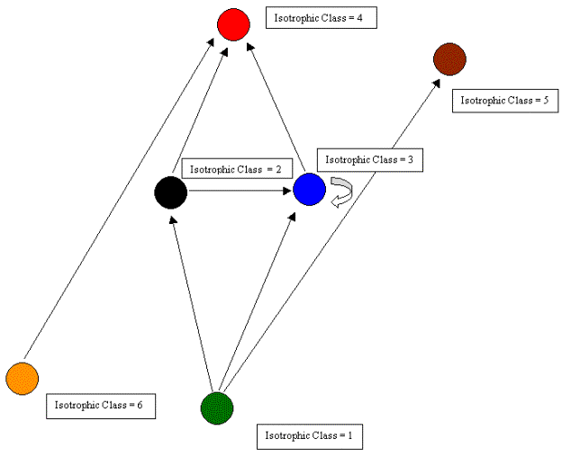 Parasitism Relationships In The Rainforest