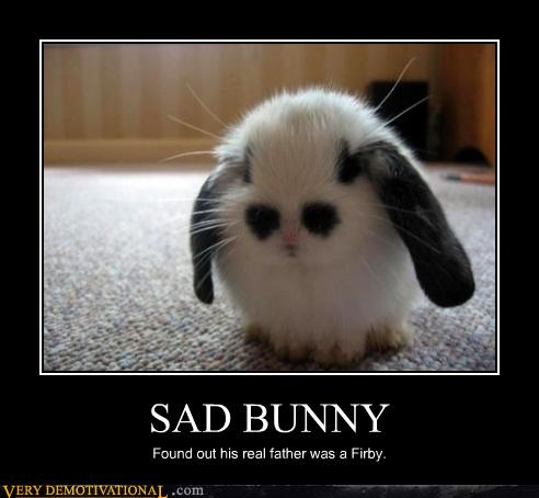 Sad Bunny Images