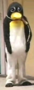 Sad Penguin Trigger Happy Tv