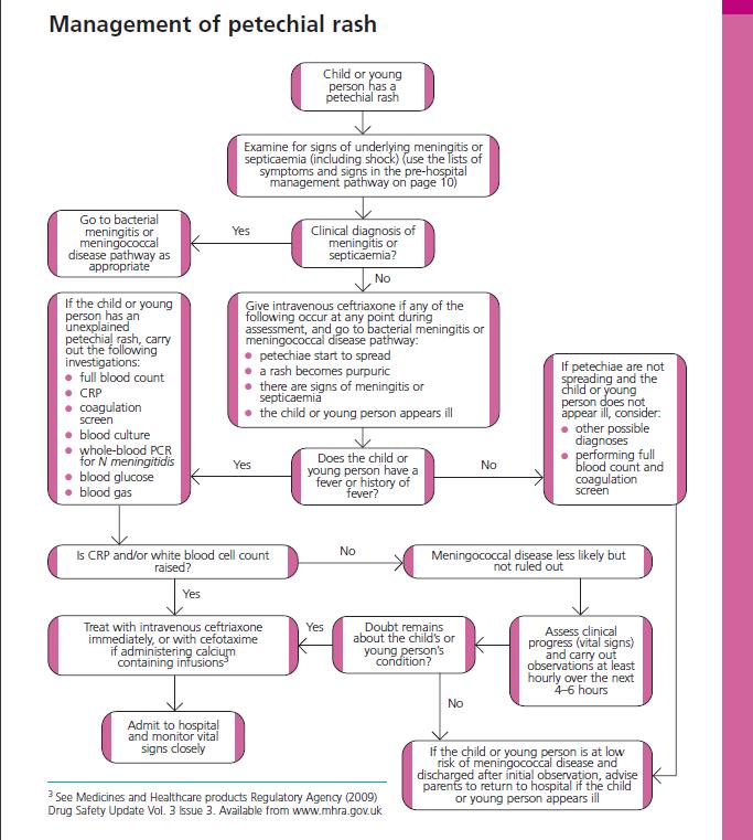 Septicemia Rash Nhs