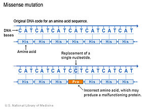 Substitution Mutation Definition
