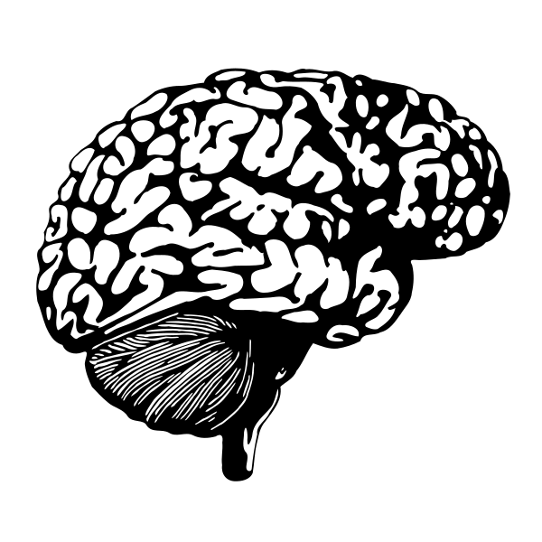 Symbol Brain