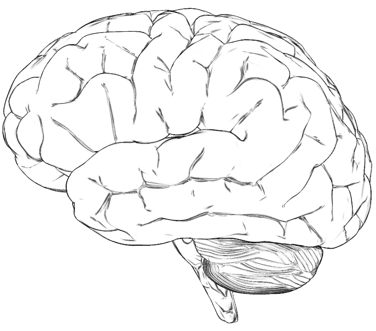 Symbol Brain