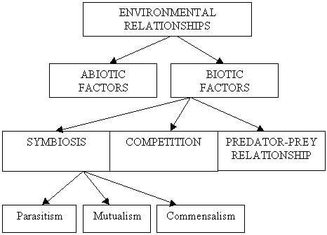 Tropical Rainforest Parasitism Relationship