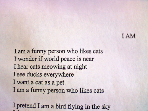 Who Am I Poem