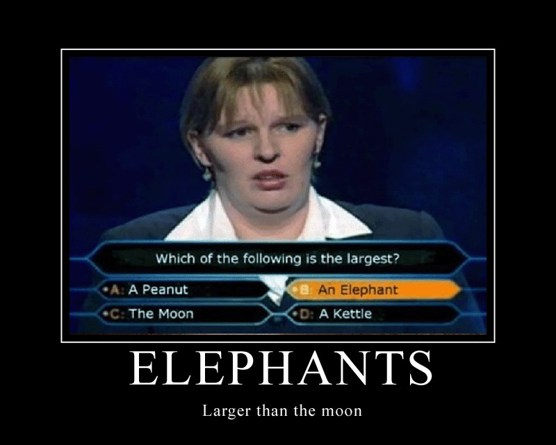 Who Wants To Be A Millionaire Fail Which Is Bigger