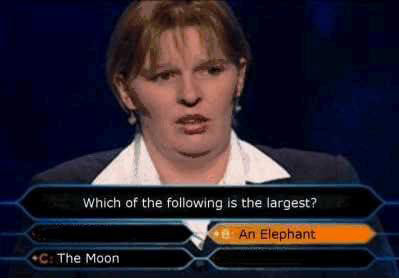 Who Wants To Be A Millionaire Funny Questions