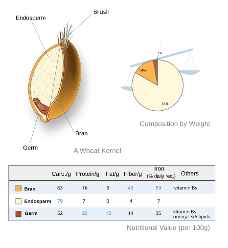 Whole Grains And Cereals