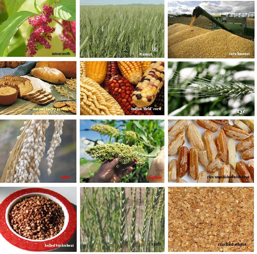 Whole Grains Food