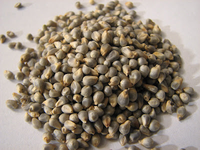 Whole Grains In Telugu