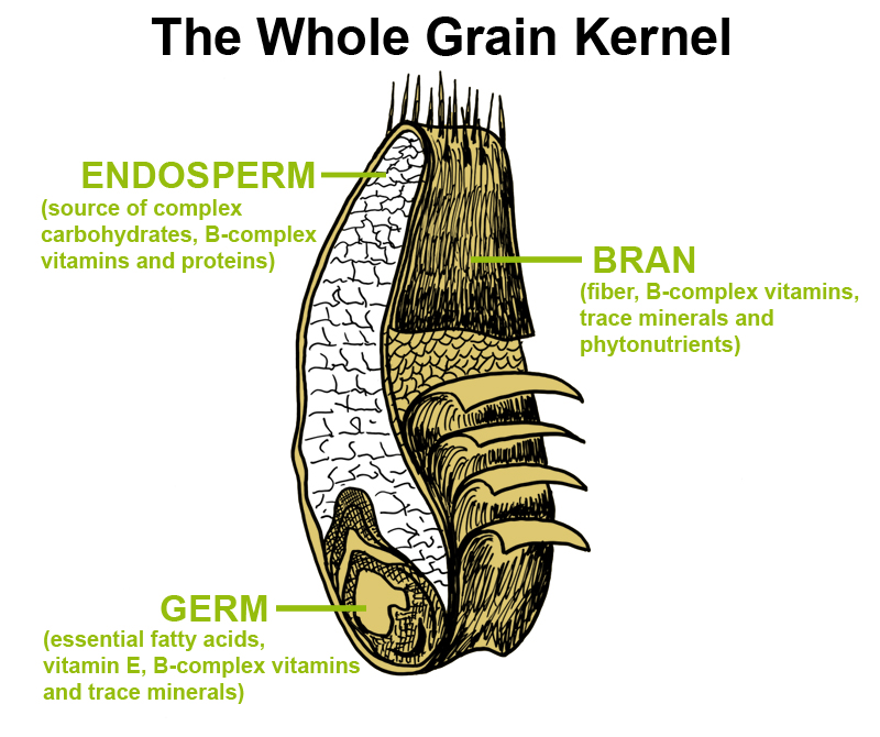 Whole Grains Pictures