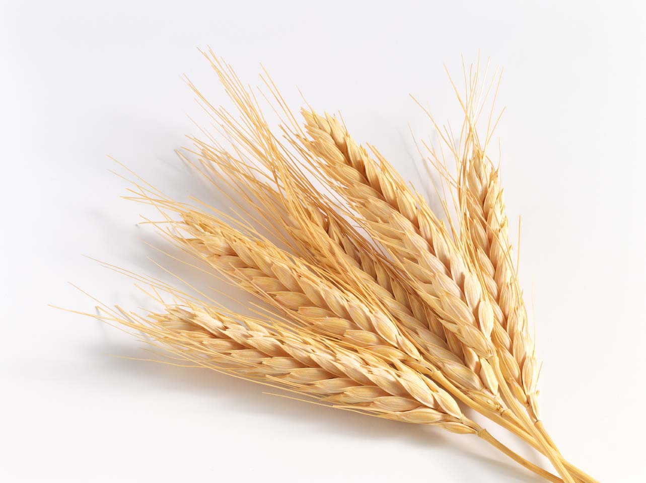 Whole Grains Pictures