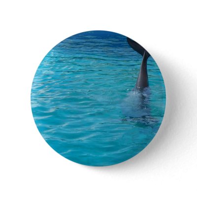 Wholphin Hybrid