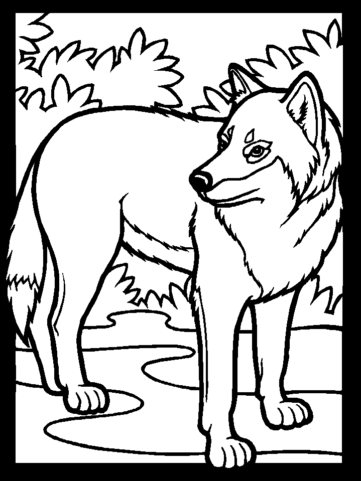 Wolf Coloring Book Pages
