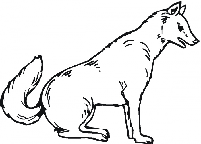 Wolf Coloring Pages For Kids