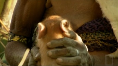 Woman Breastfeeding Pig