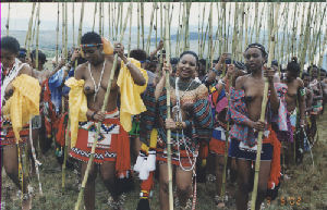 Zulu Reed Festival