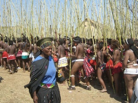 Zulu Reed Festival