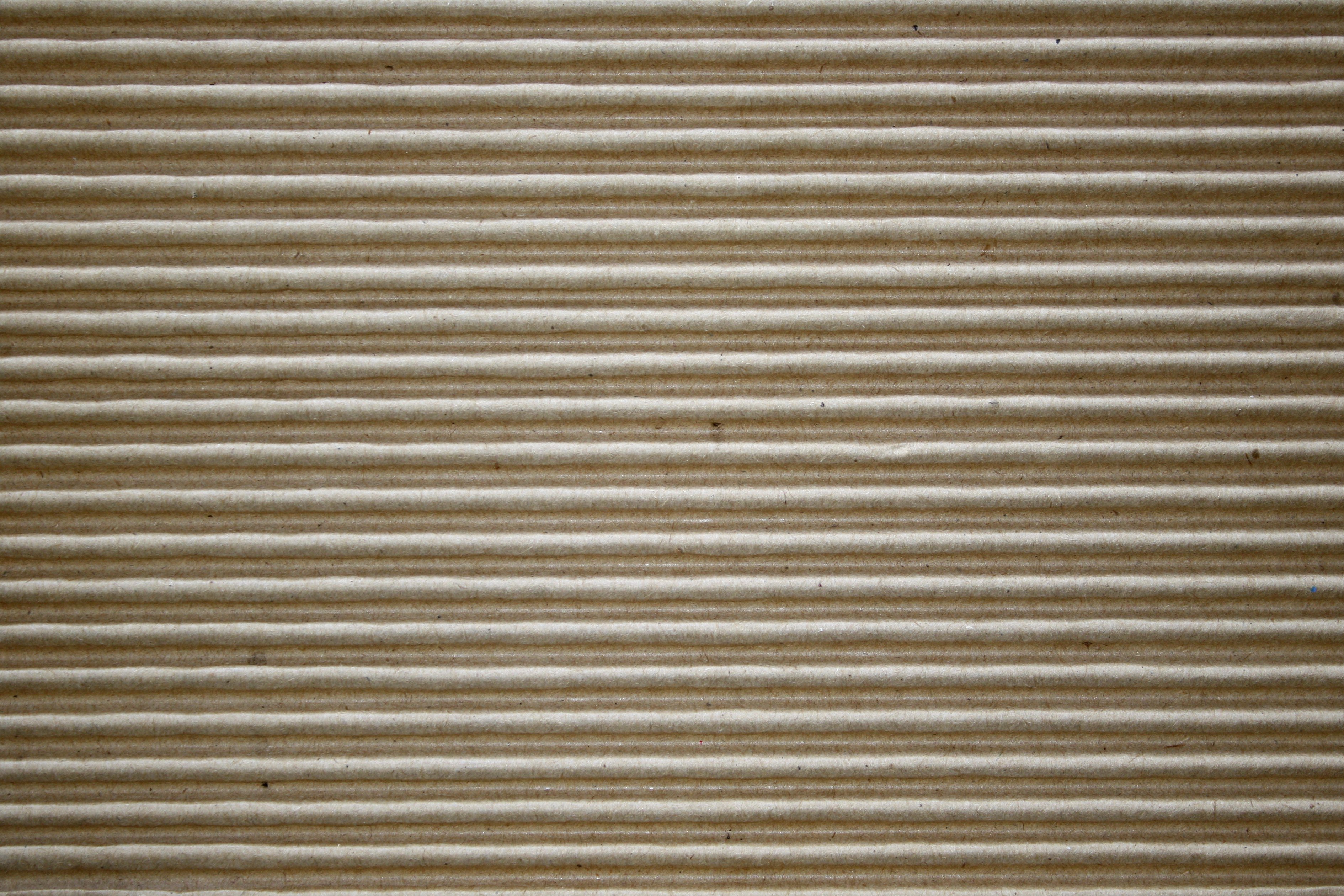Corrugated Cardboard Texture
